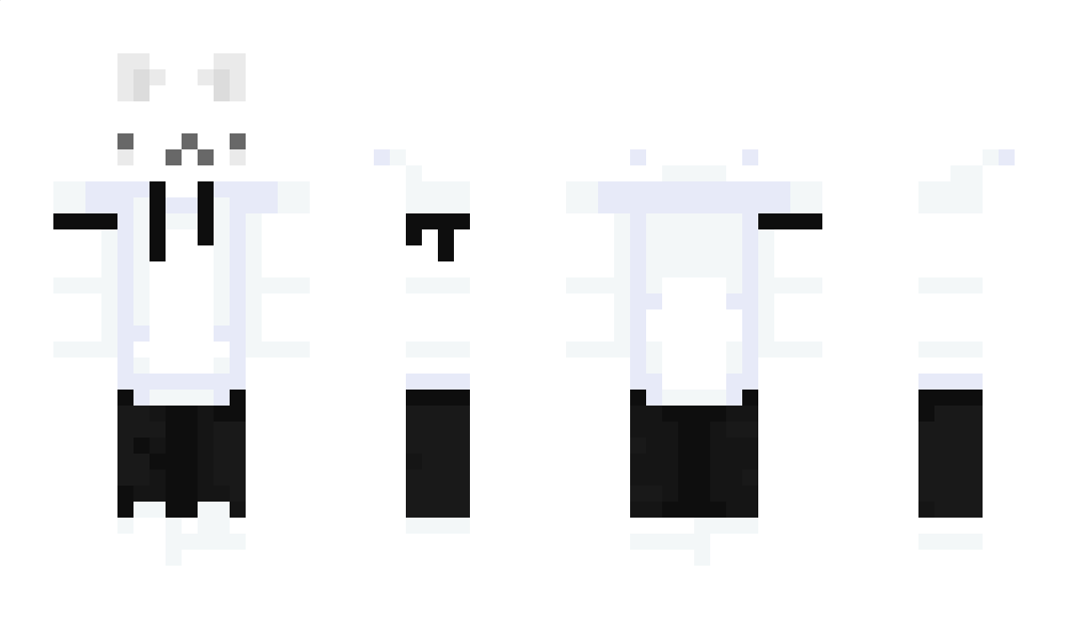 stasiu_craft Minecraft Skin