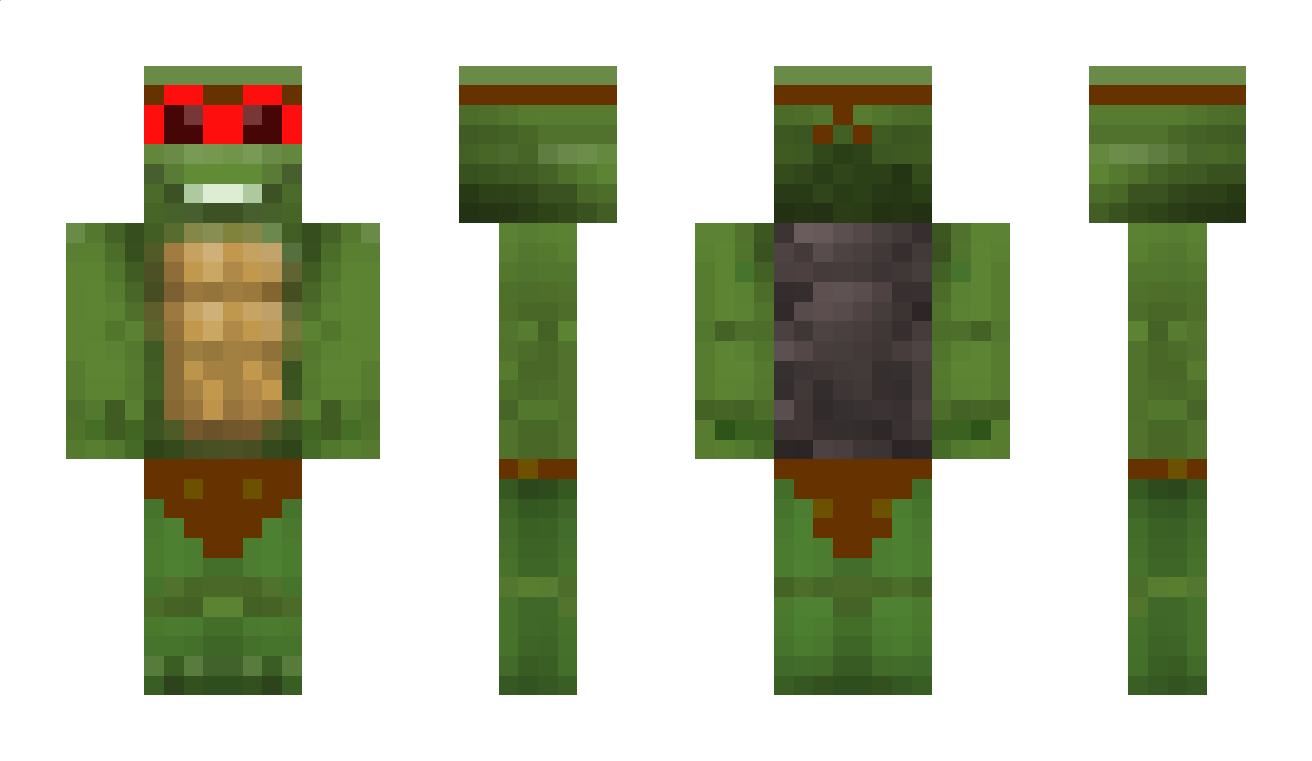 NinjaTurtle1 Minecraft Skin