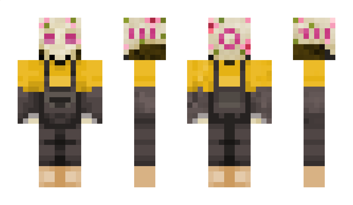 Da1drm Minecraft Skin