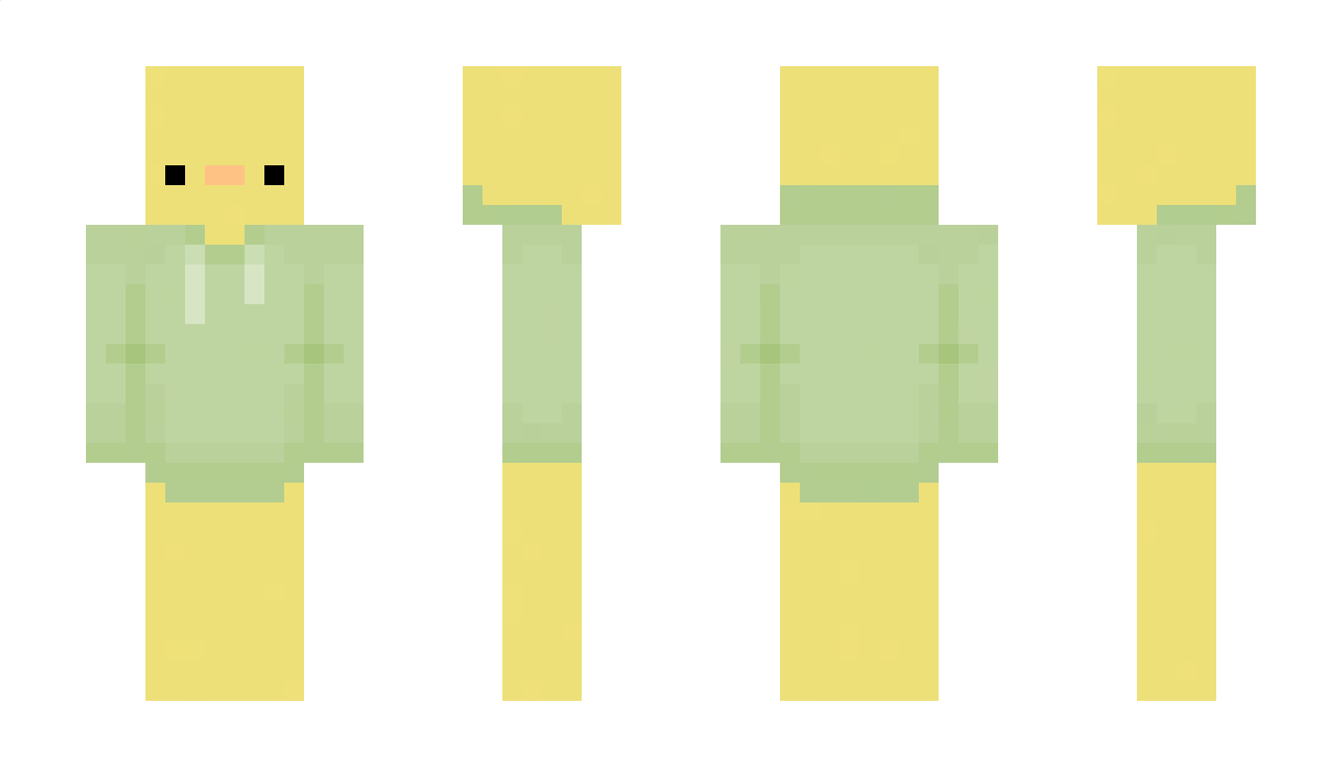 Ninjatali Minecraft Skin