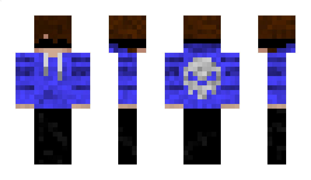 buzzingbee1234 Minecraft Skin