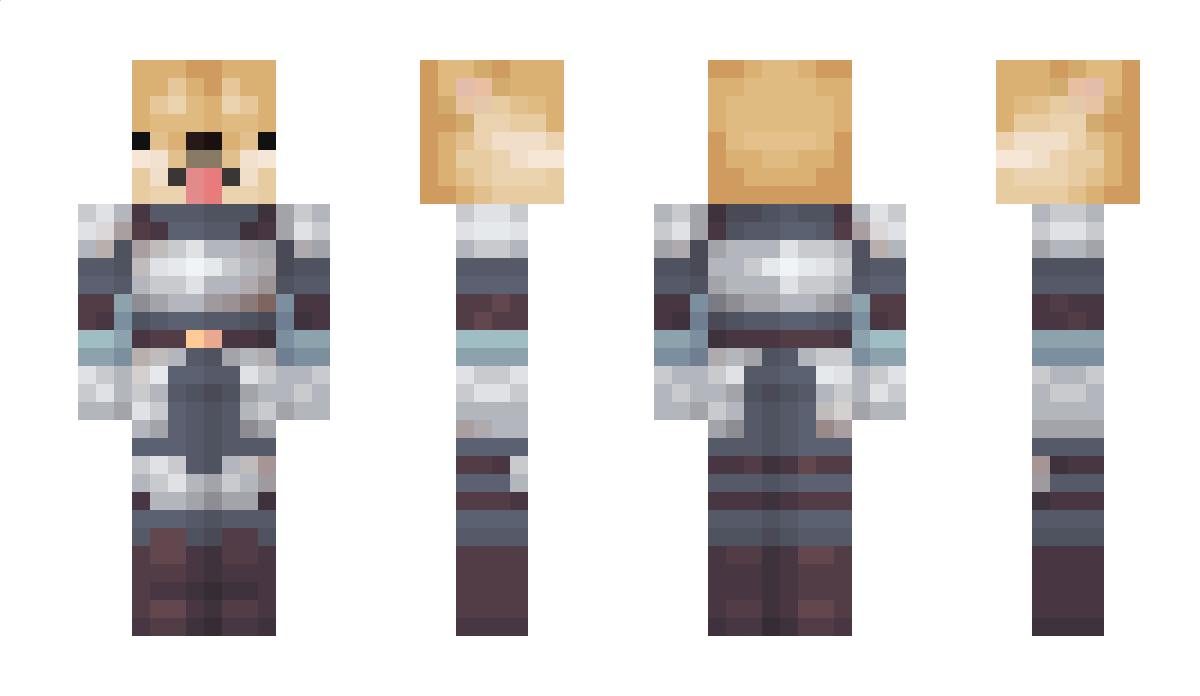 tortillka423 Minecraft Skin