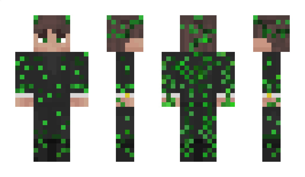 FlyingFoxi56 Minecraft Skin