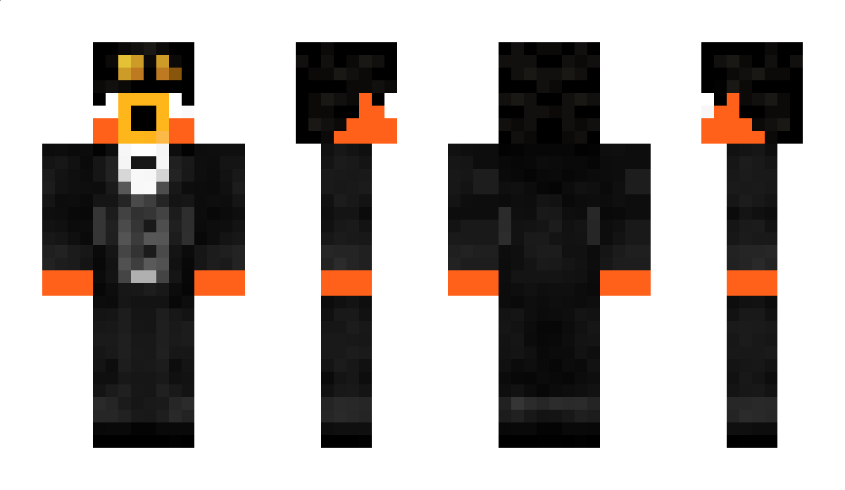 MrSealR Minecraft Skin