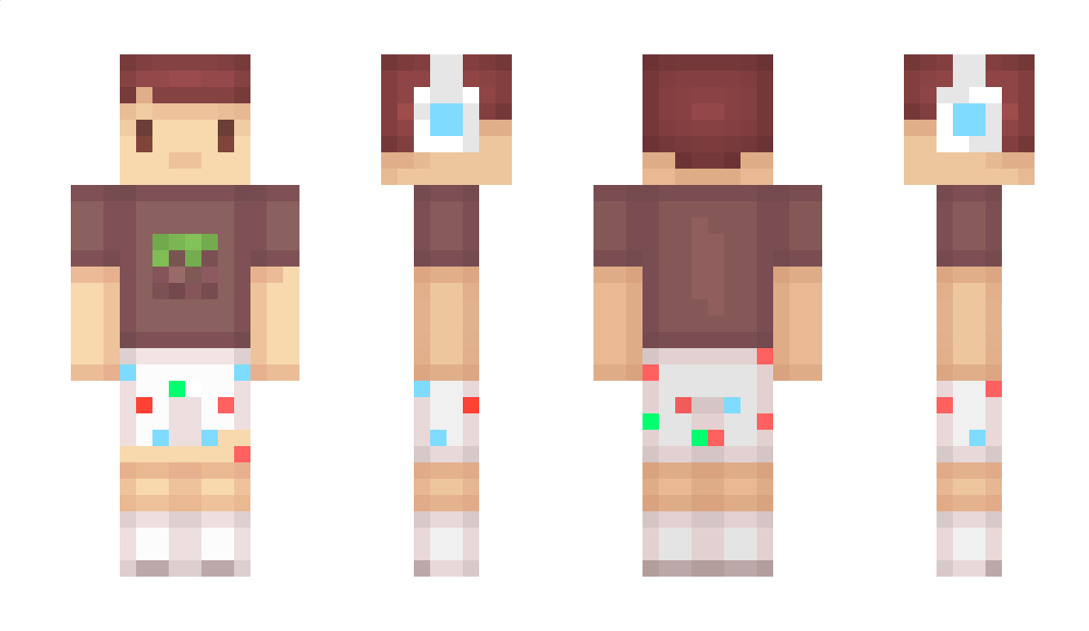 Ec0 Minecraft Skin