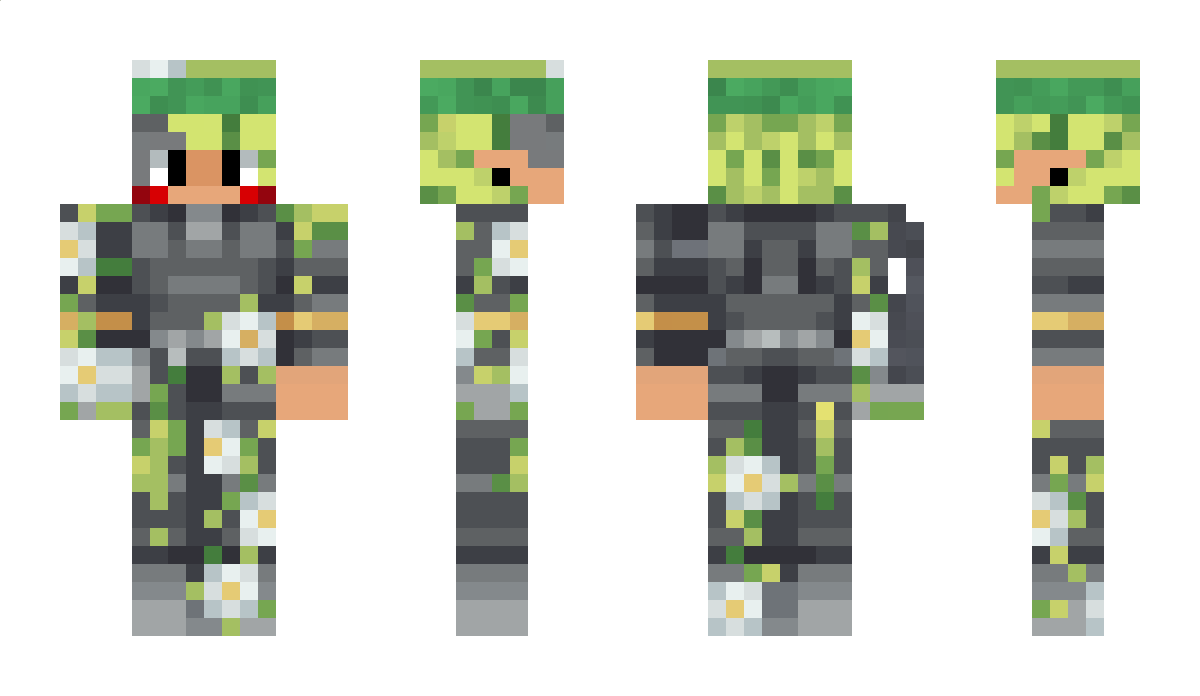 Avatar2223 Minecraft Skin