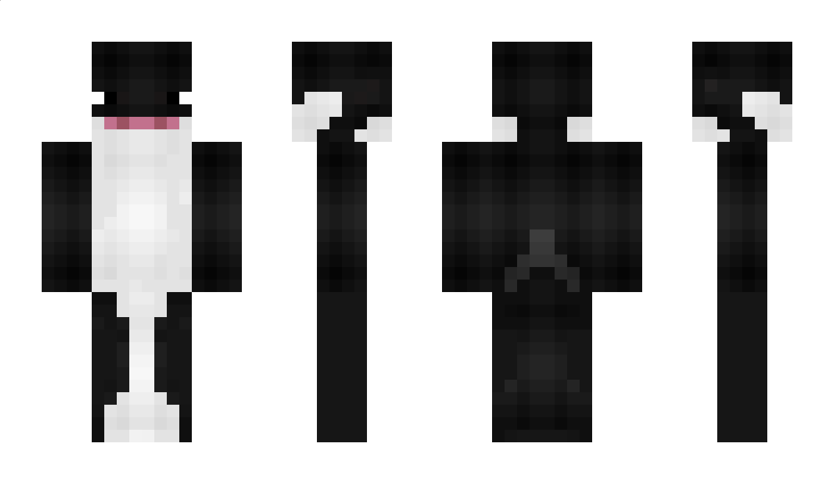 RogueOrca Minecraft Skin