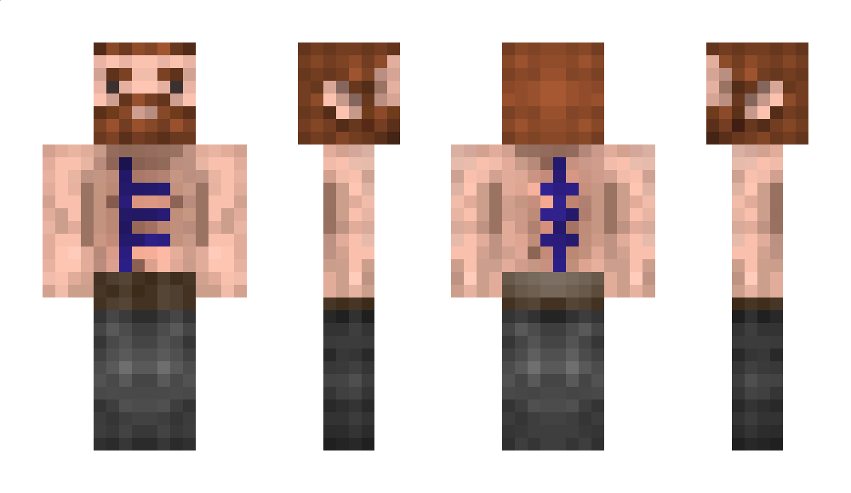 vernes Minecraft Skin