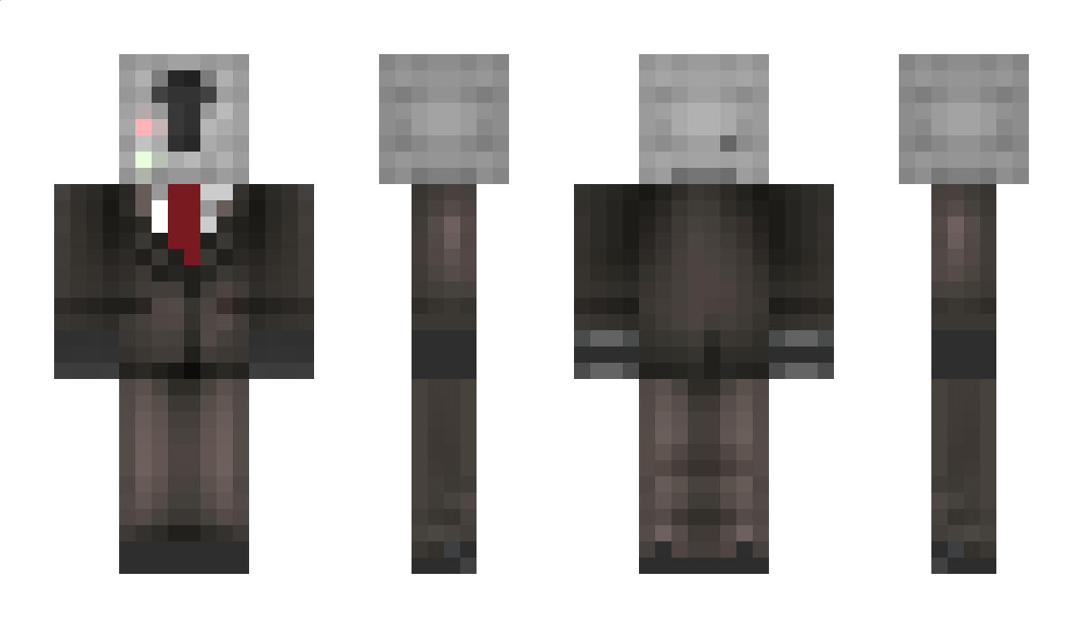 ToasterWasTaken Minecraft Skin