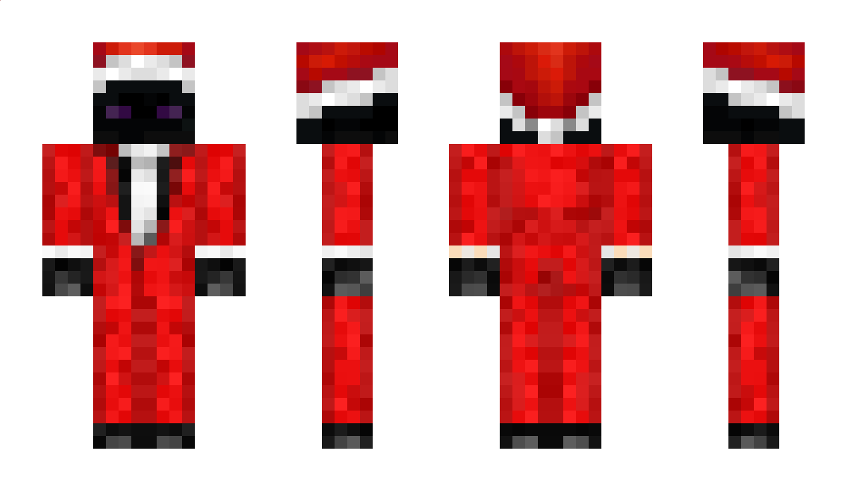 EndsEnderless Minecraft Skin