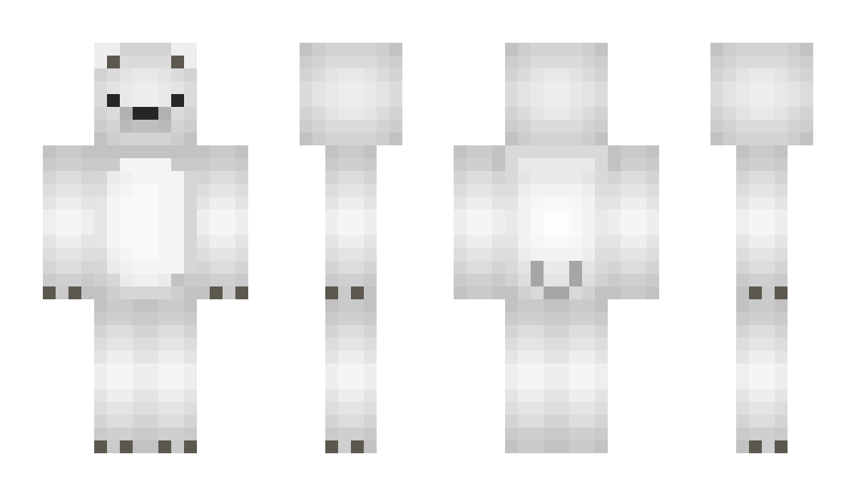 BDS Minecraft Skin