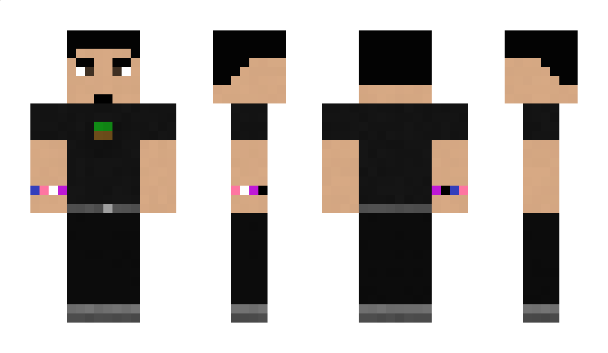 CCCG Minecraft Skin