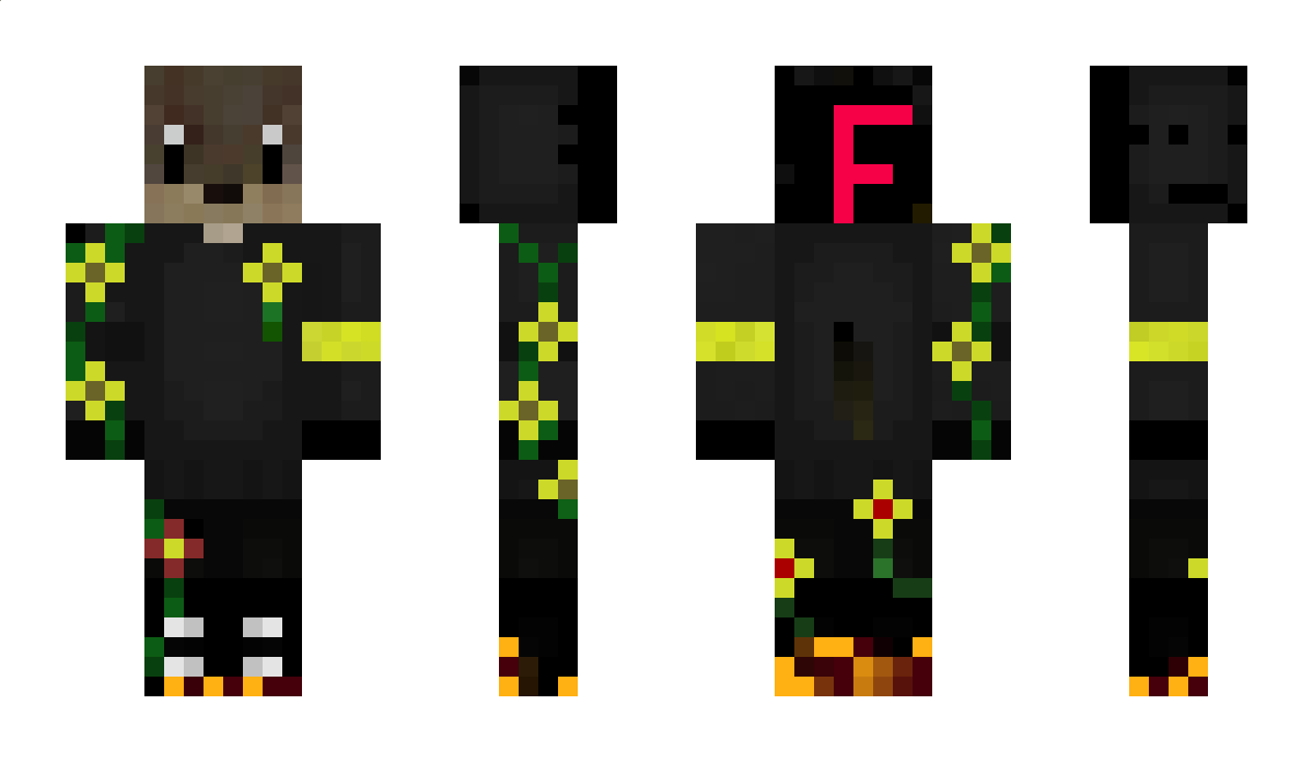 chaosferdi44 Minecraft Skin