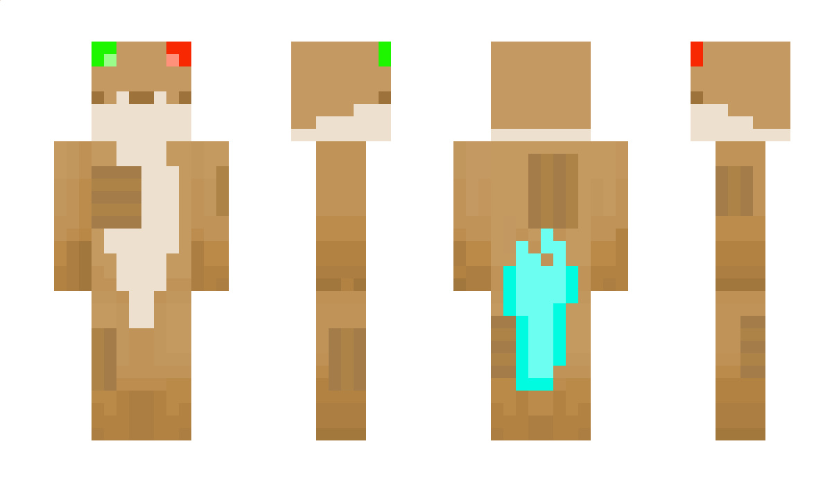 CardboardOtter Minecraft Skin