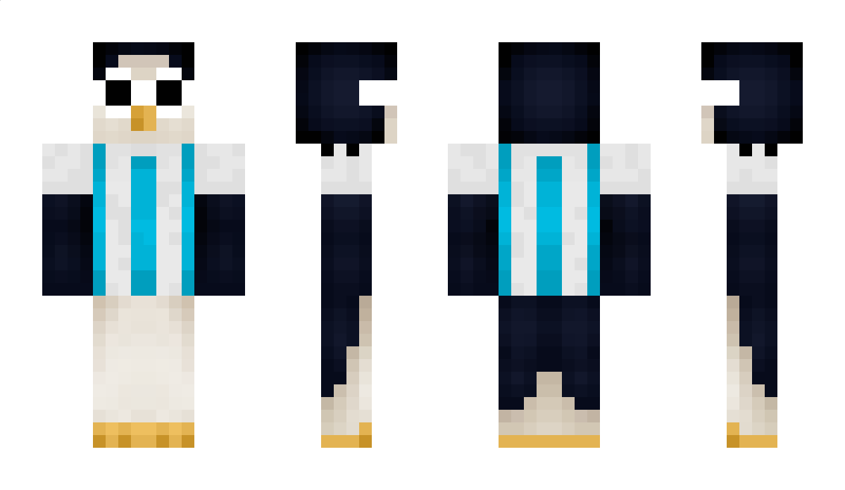 nicconocci Minecraft Skin