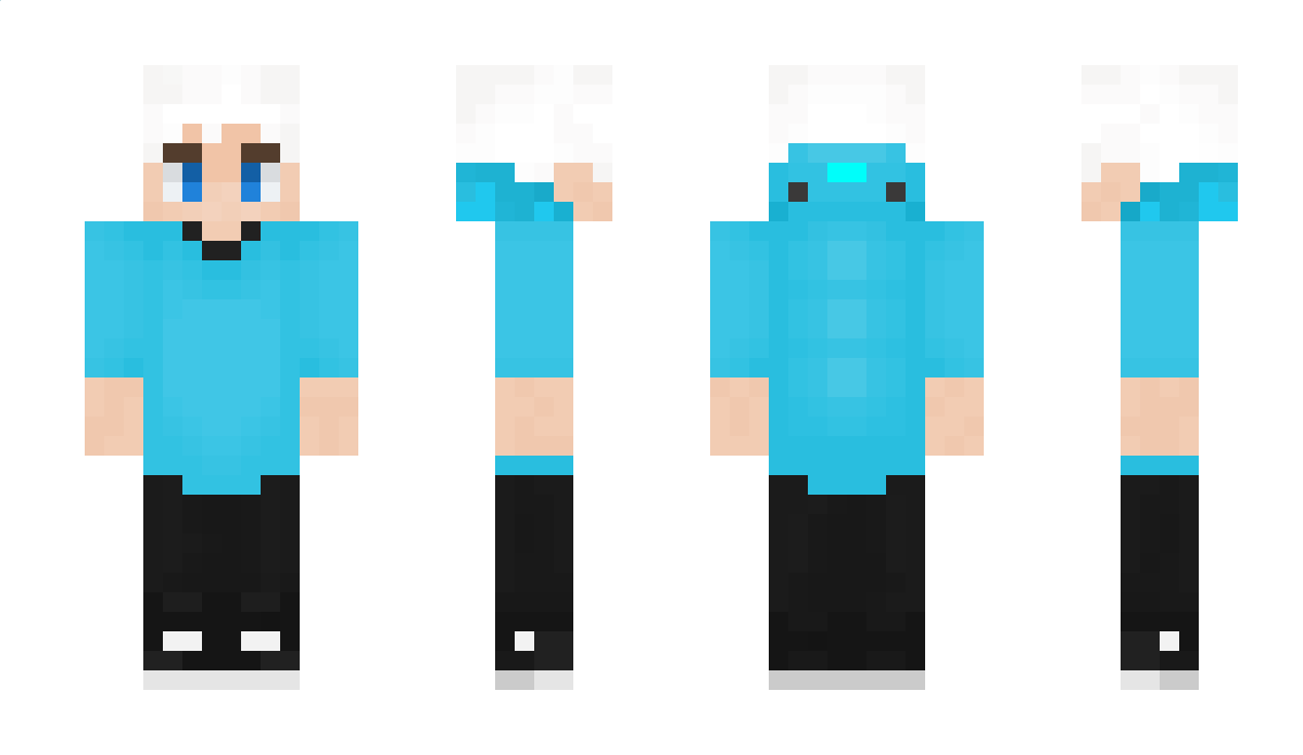 Coppyfini44 Minecraft Skin