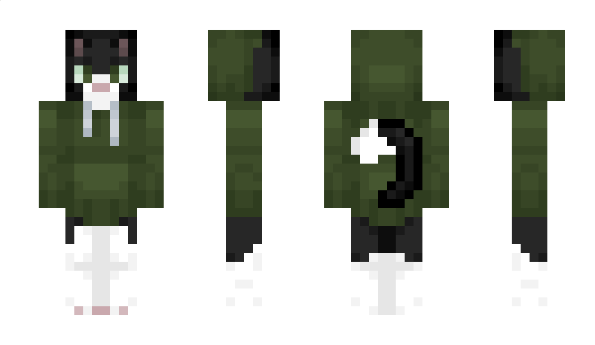 Mighsteps Minecraft Skin