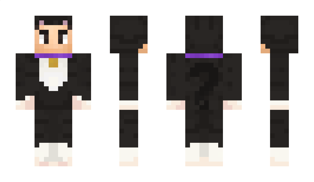 AlphaEffect313 Minecraft Skin