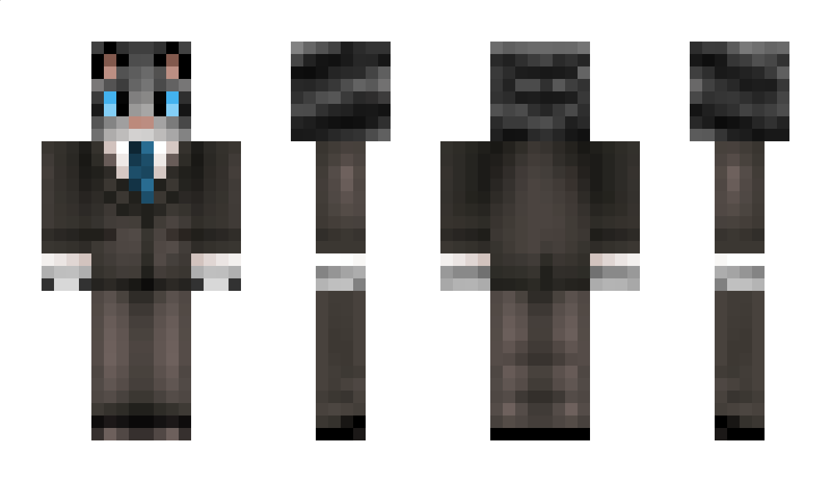 CrazyCat197 Minecraft Skin