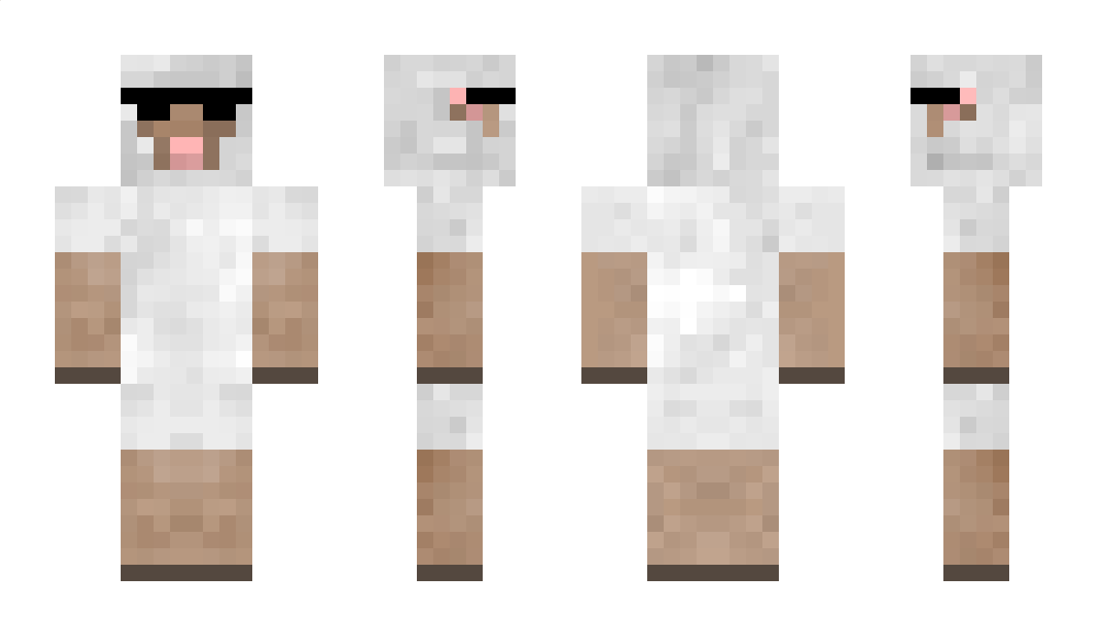 shadysheep Minecraft Skin