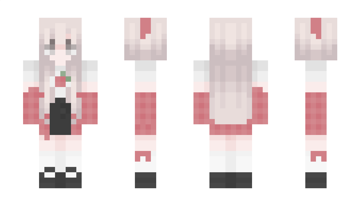 Ddsupper Minecraft Skin