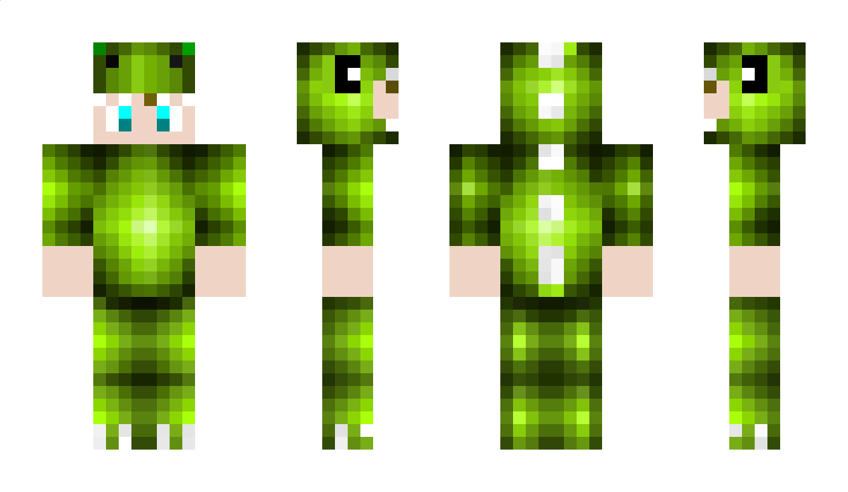 Lucas12 Minecraft Skin