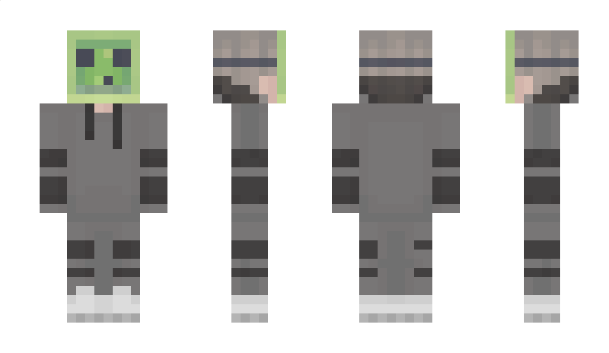 armadillocraftYT Minecraft Skin