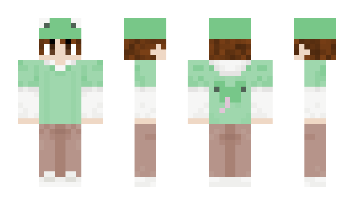 choo27 Minecraft Skin