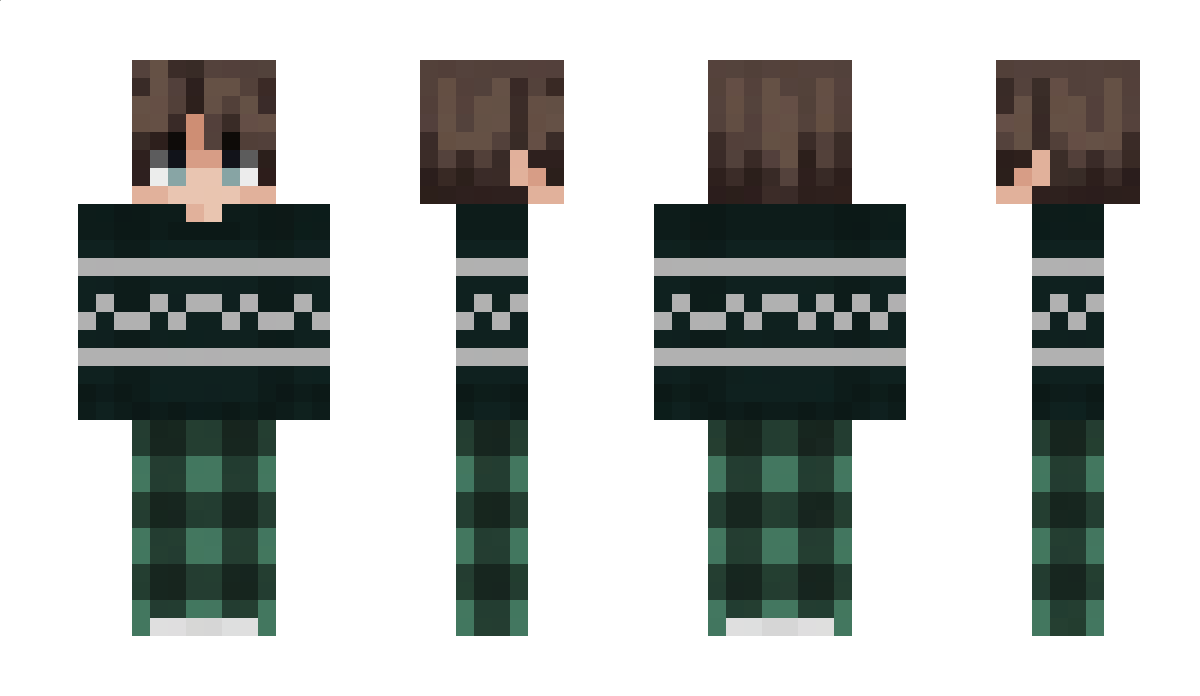 AleksPlayzzIX Minecraft Skin