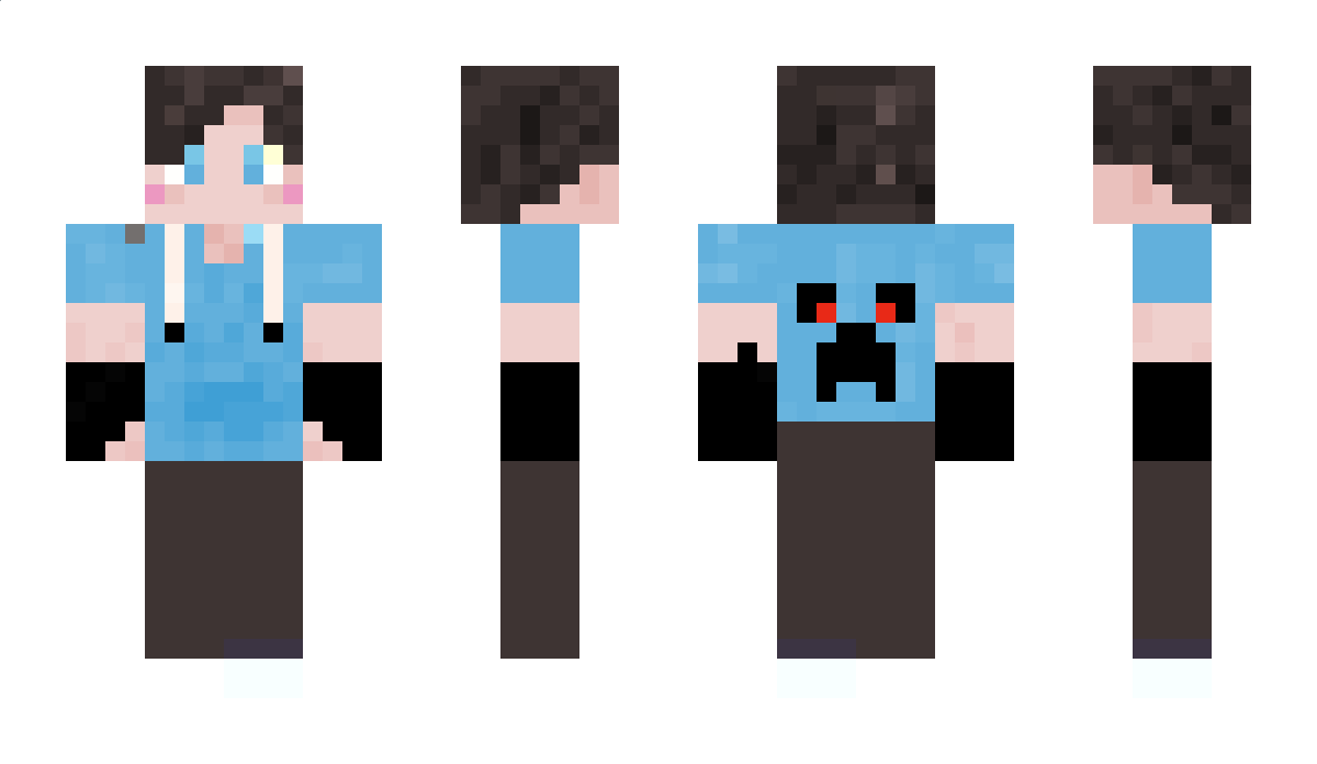 sfdsf Minecraft Skin