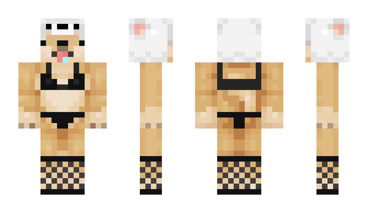 DoggoGG Minecraft Skin