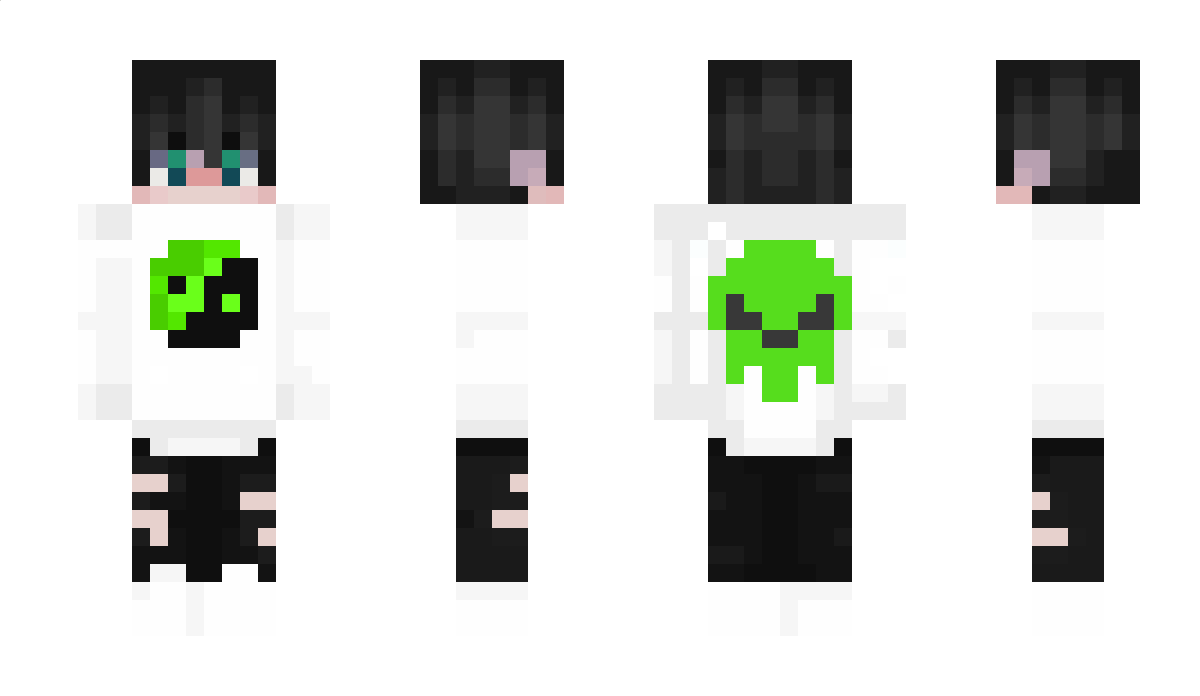 Leckreco_51 Minecraft Skin