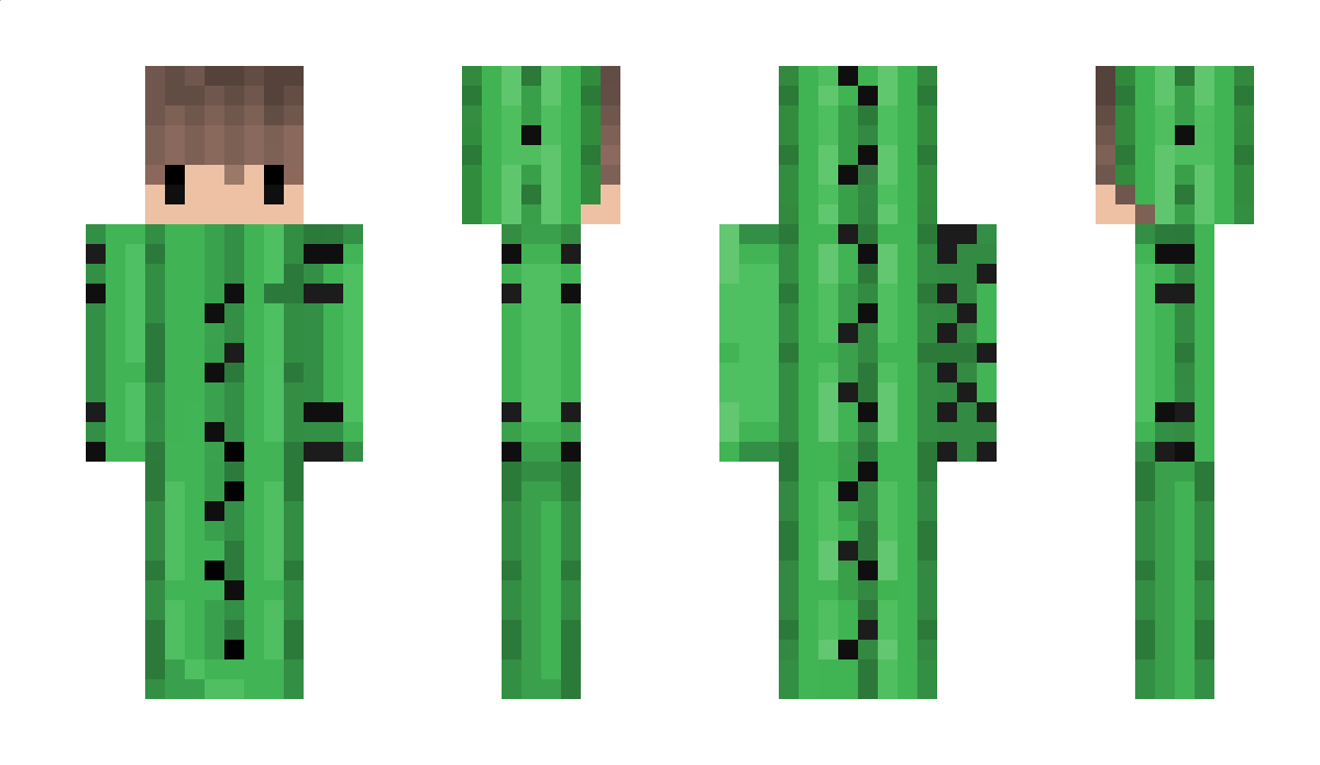 Prqk Minecraft Skin