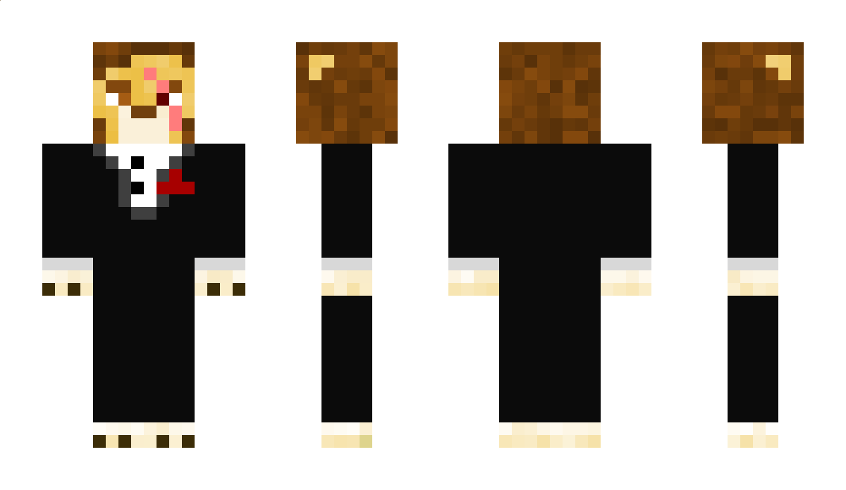 Druleo Minecraft Skin