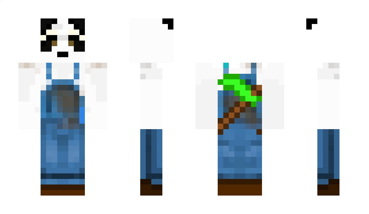 Sackie Minecraft Skin