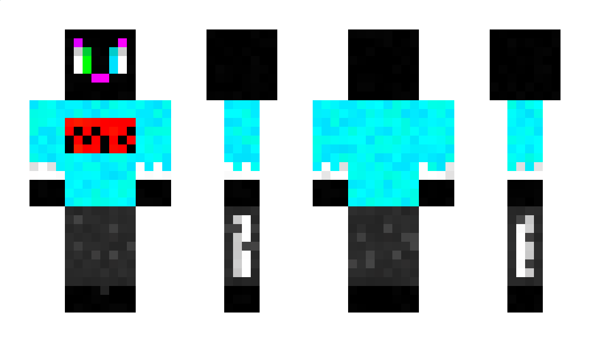 coolguy123123 Minecraft Skin