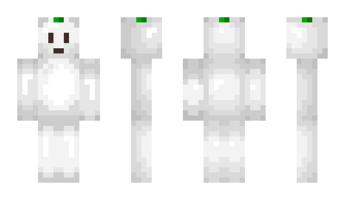 lxTakoxl Minecraft Skin