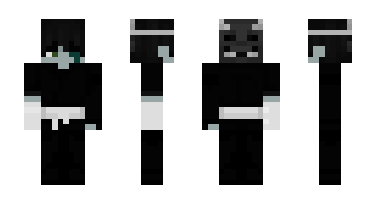 endergirl1022 Minecraft Skin