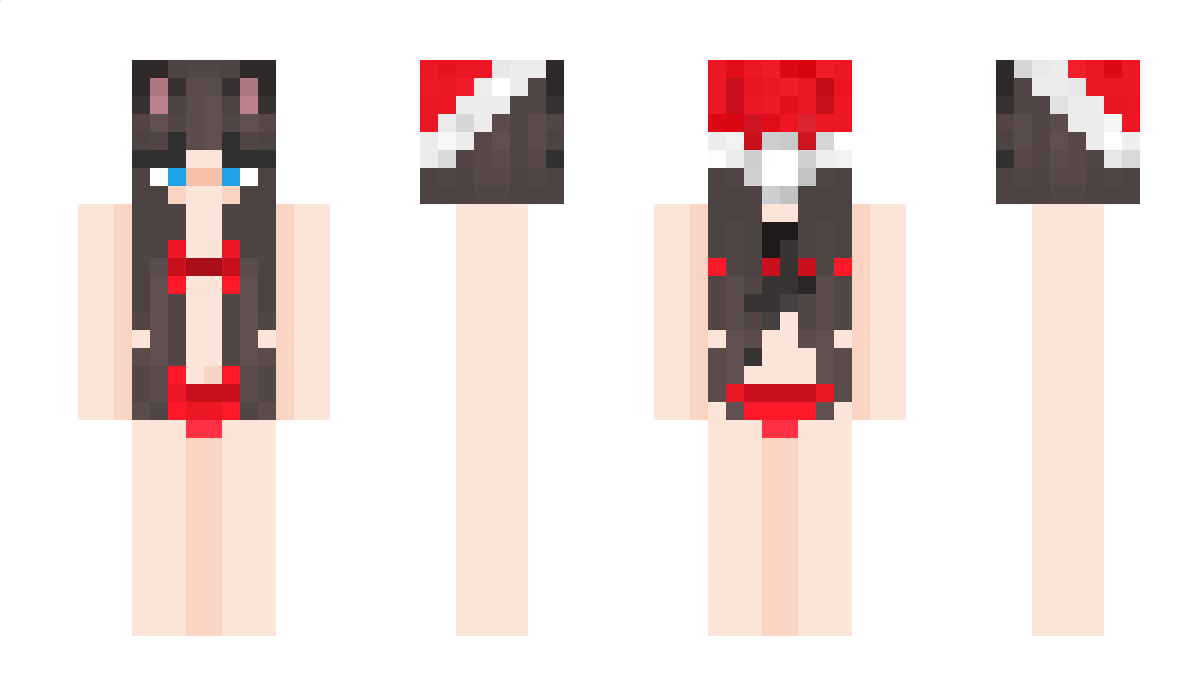 BBRSR Minecraft Skin