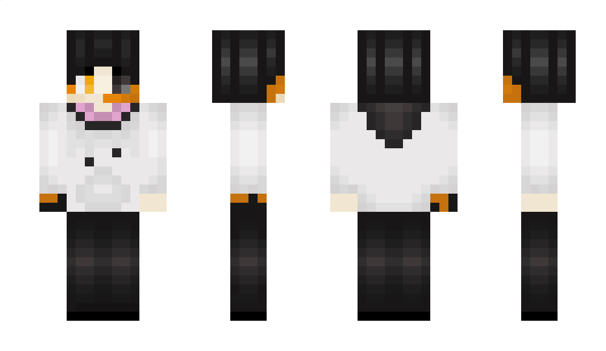 dragonwolf6688 Minecraft Skin