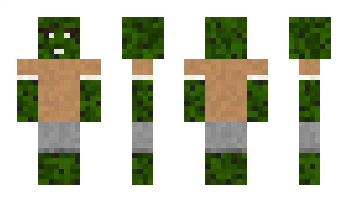 ttuBpooP Minecraft Skin