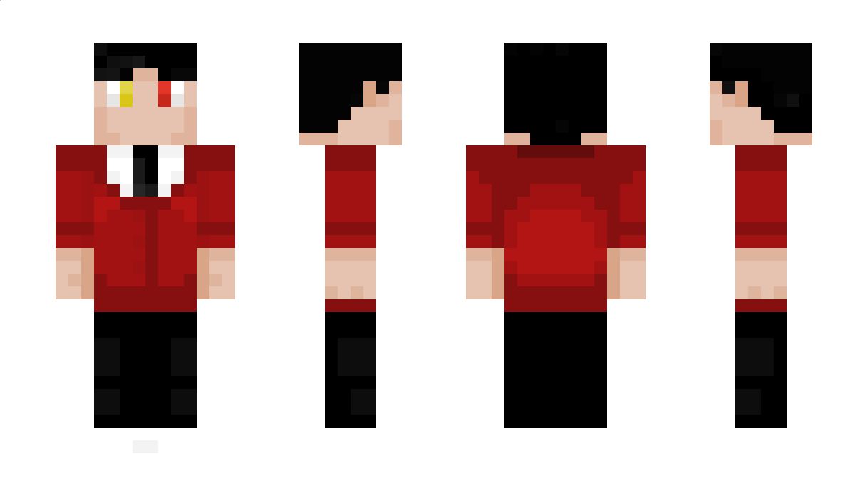 NerdyCraft Minecraft Skin