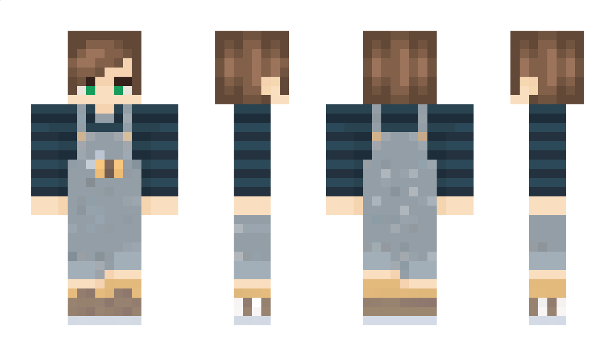 Nich0brine Minecraft Skin