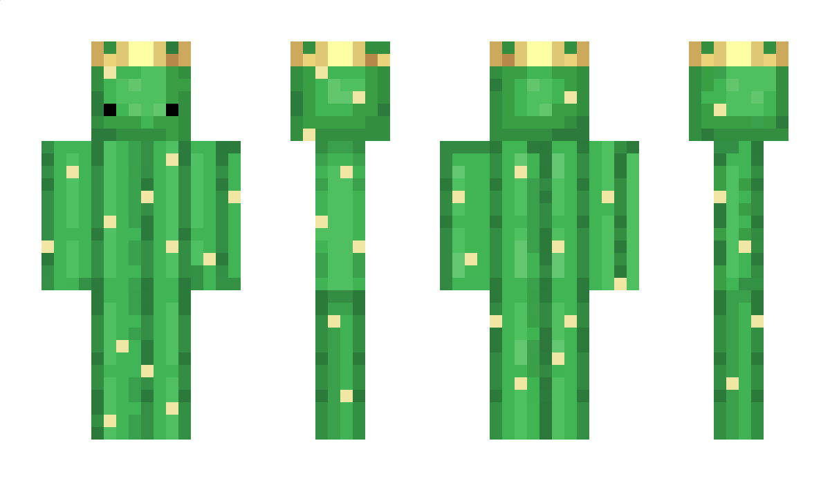 doit Minecraft Skin