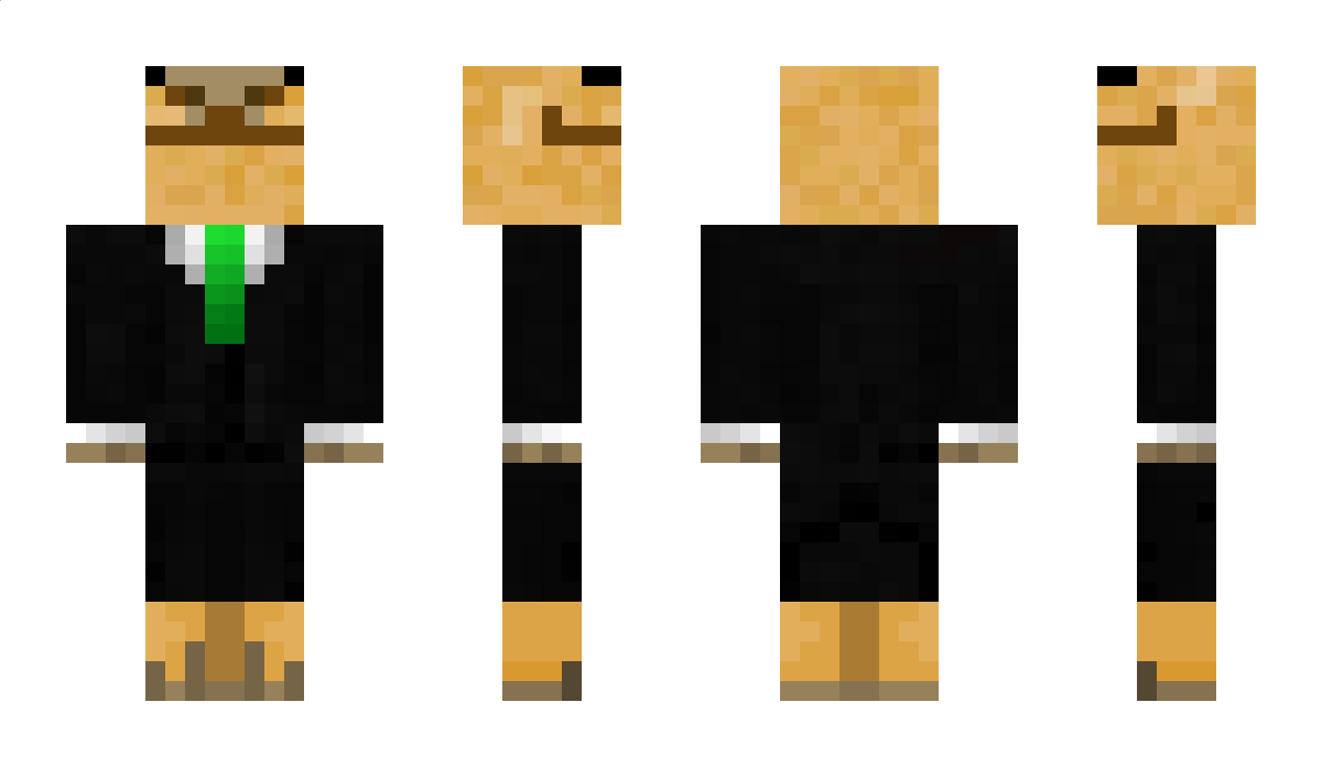 Ein_Bear Minecraft Skin