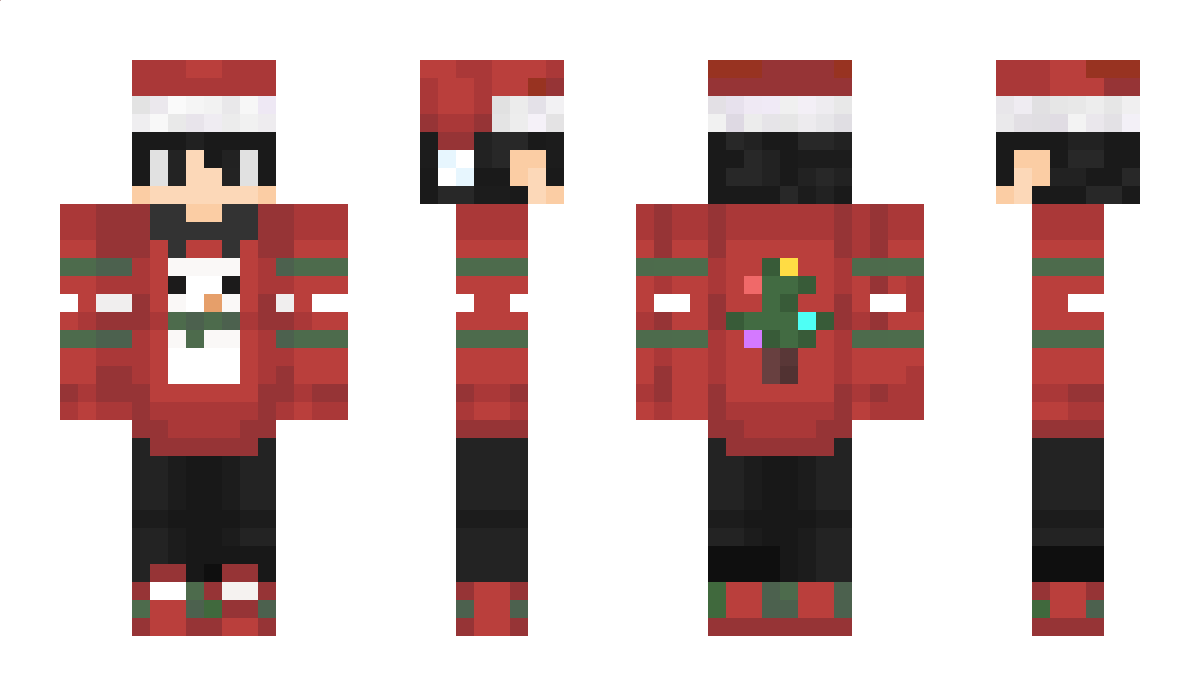 mir4o_ Minecraft Skin