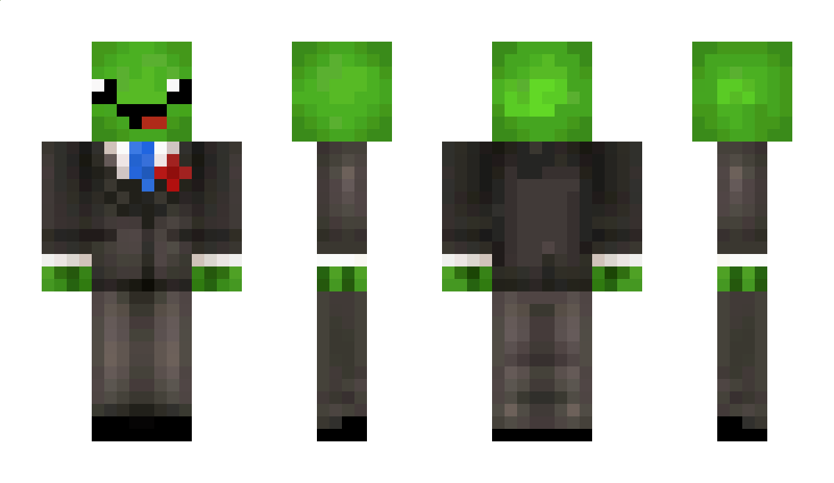 ABoxOfTurtles Minecraft Skin