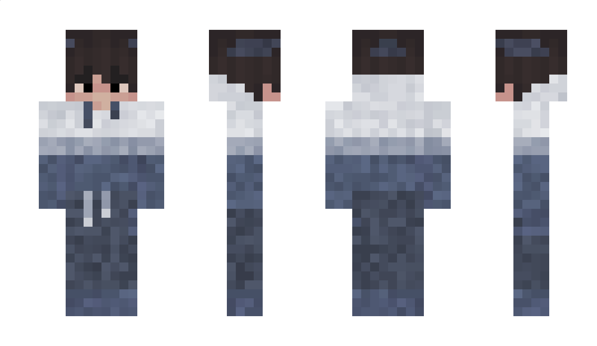 Fake2211 Minecraft Skin