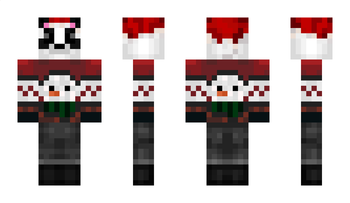 pioterre Minecraft Skin