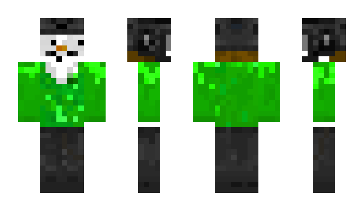 45y Minecraft Skin